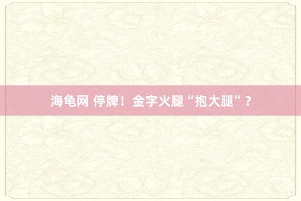 海龟网 停牌！金字火腿“抱大腿”？