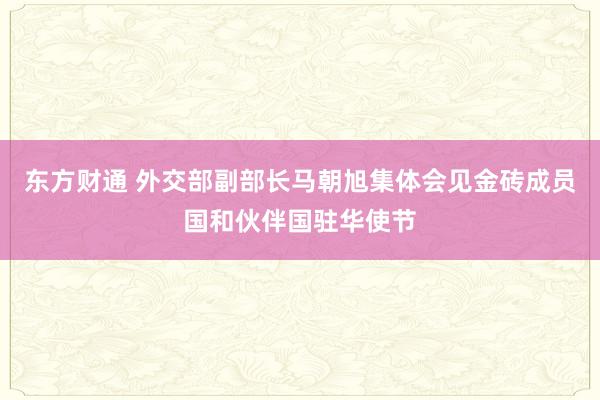 东方财通 外交部副部长马朝旭集体会见金砖成员国和伙伴国驻华使节