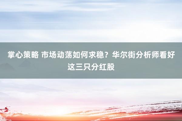 掌心策略 市场动荡如何求稳？华尔街分析师看好这三只分红股