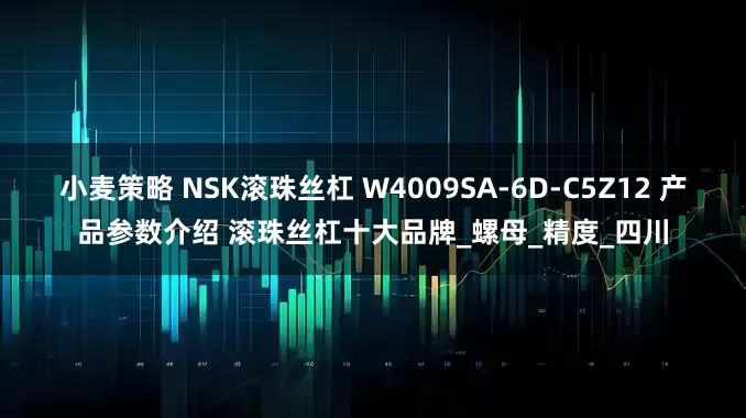 小麦策略 NSK滚珠丝杠 W4009SA-6D-C5Z12 产品参数介绍 滚珠丝杠十大品牌_螺母_精度_四川