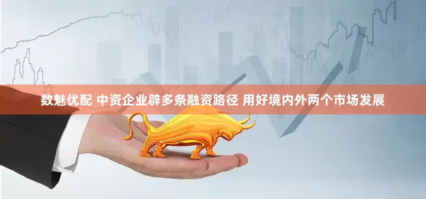 数魅优配 中资企业辟多条融资路径 用好境内外两个市场发展