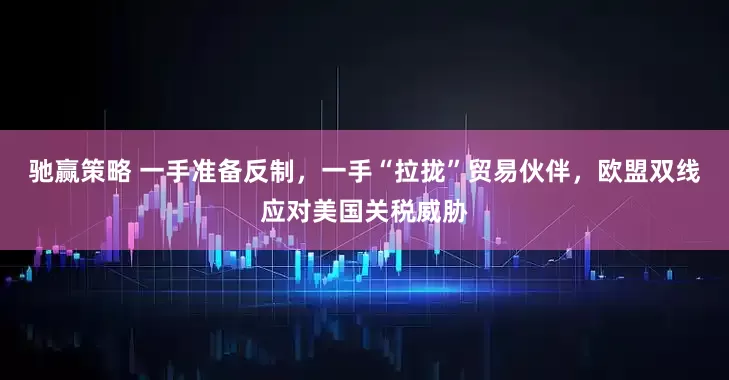 驰赢策略 一手准备反制，一手“拉拢”贸易伙伴，欧盟双线应对美国关税威胁