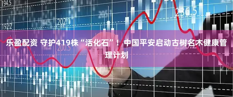 乐盈配资 守护419株“活化石”！中国平安启动古树名木健康管理计划