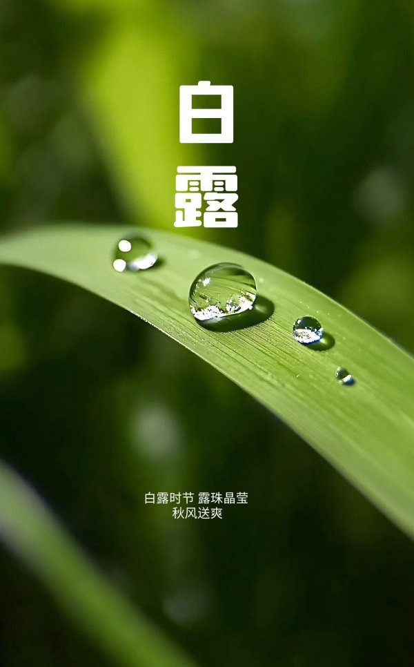 博盈配资 白露节气，别忘了“吃三白”“喝三白”，天凉了，一定要懂如何养