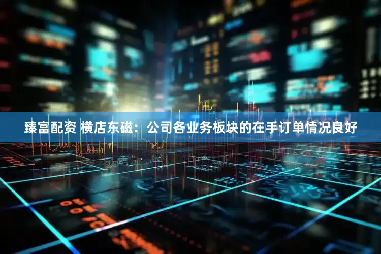 臻富配资 横店东磁：公司各业务板块的在手订单情况良好