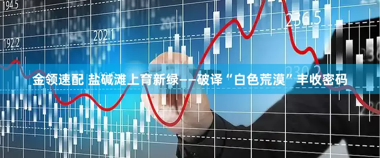 金领速配 盐碱滩上育新绿——破译“白色荒漠”丰收密码
